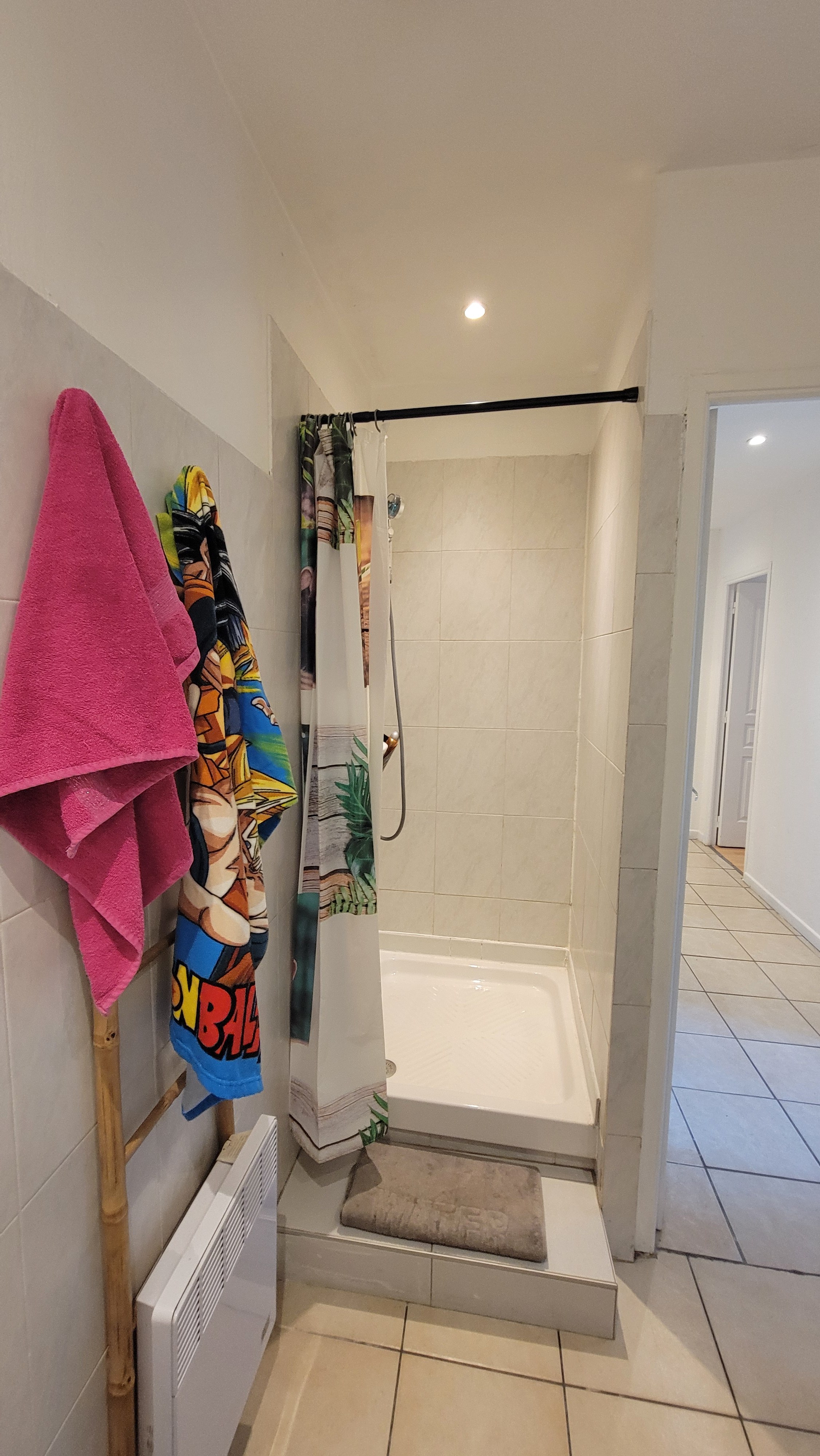Douche séparée dans la salle de bain